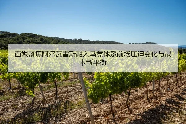 西媒聚焦阿尔瓦雷斯融入马竞体系前场压迫变化与战术新平衡